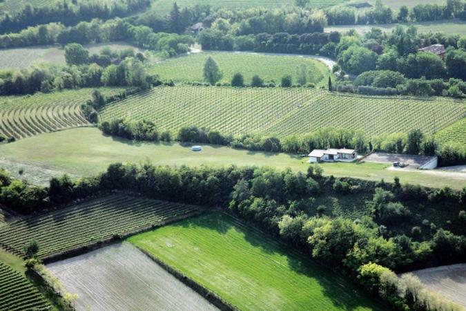 B&B Campovolo Monzambano Eksteriør billede